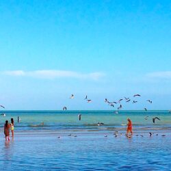 Holbox Island Day Tour - Image 6