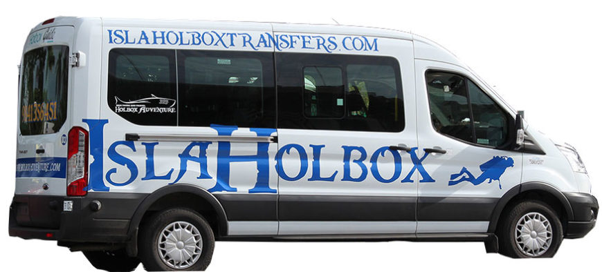 Van to Holbox Island 10