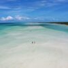 Holbox Island Day Tour - Image 2