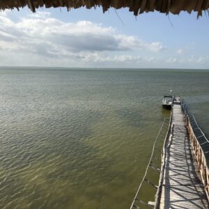 Eco Classic Tour and Fishing