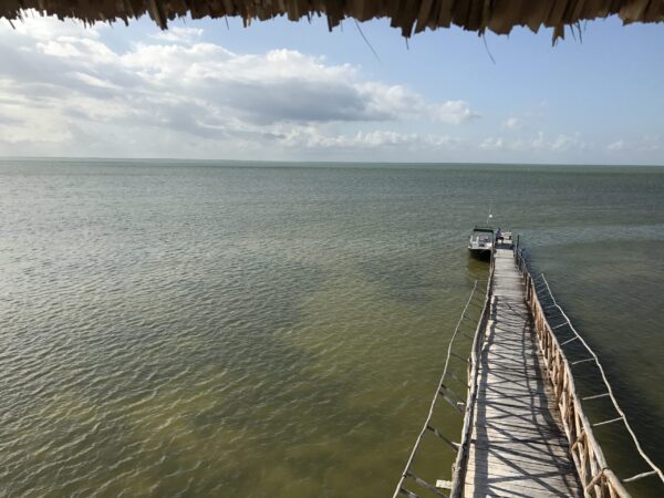 Eco Classic Tour and Fishing