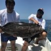 Holbox Mini  Fishing Tour - Image 6