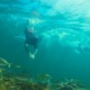 Cabo Catoche Camping - Snorkeling - Fishing Tour - Image 3