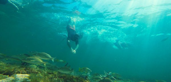Cabo Catoche Cape - Snorkeling - Fishing Tour Private