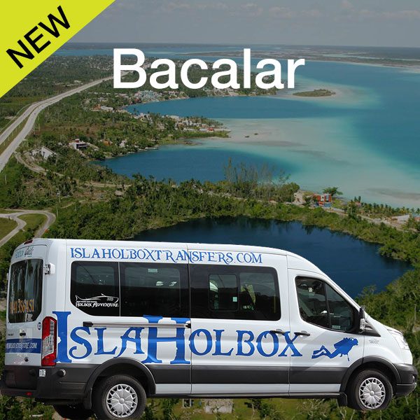 VIP Shuttle to Bacalar