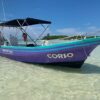 Don't buy ferry tickets -Book your Water Taxi instead.