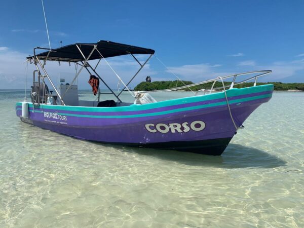 Don't buy ferry tickets -Book your Water Taxi instead.